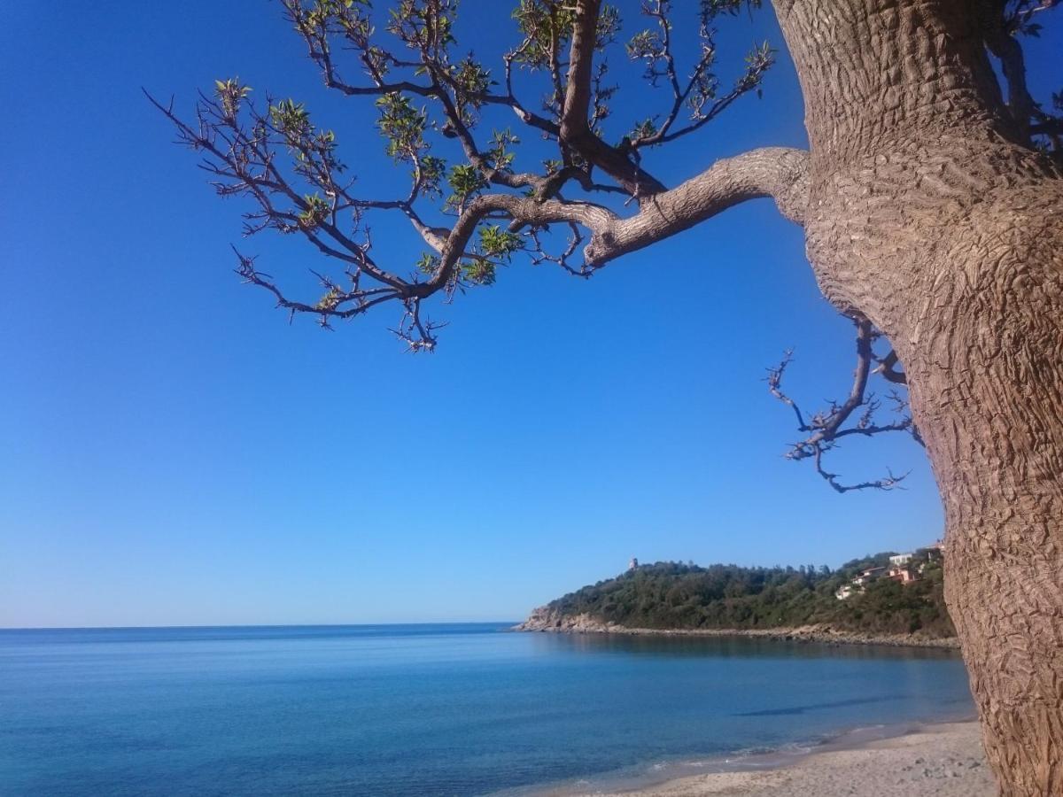 Un Po Di Relax A Pochi Passi Dal Mare! Appartement Àrbatax Buitenkant foto