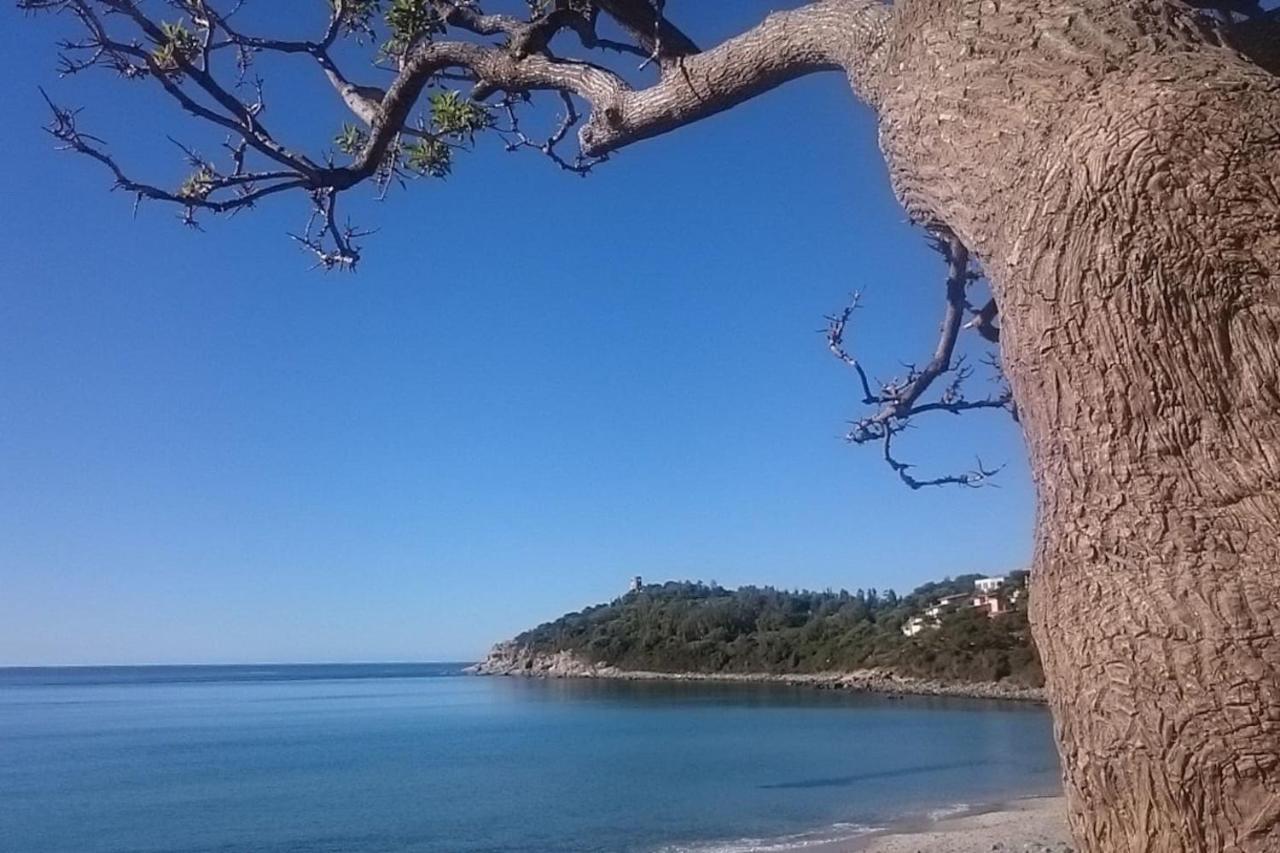 Un Po Di Relax A Pochi Passi Dal Mare! Appartement Àrbatax Buitenkant foto
